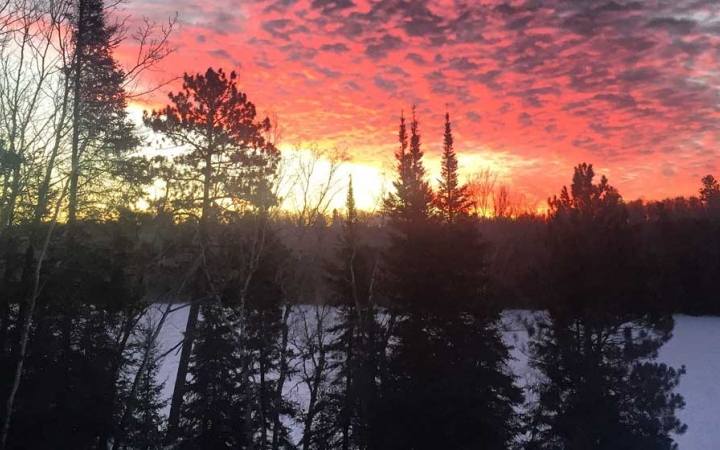 The sky appears pink, purple and yellow as the sun rises or sets behind a row of trees in the snow.